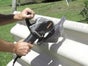 ARBORTECH AS160 Powersäge - Galerie - Bild 3