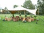 Stretch- / Membranzelt mieten – 75 m² elegantes Eventzelt für Hochzeit, Firmenfeier & Festival - Galerie - Bild 4