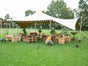 Stretch- / Membranzelt mieten – 75 m² elegantes Eventzelt für Hochzeit, Firmenfeier & Festival - Galerie - Bild 4