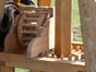 Mittelalter Karussell - Galerie - Bild 3