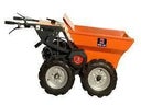 BELLE - BMD01NS