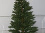 Weihnachtsbaum Nordmanntanne 220cm - Galerie - Bild 2
