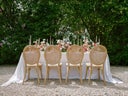 Love Events  Louis Rattan Stühle für stilvolle Events - Galerie - Bild 1