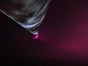 Lasershow 2019 für Stadfeste und Events - Galerie - Bild 4