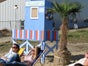 Dekowände Südsee (3 Stück im Set) - Galerie - Bild 2