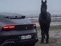 Ferrari Purosangue Mieten Sportwagen Mieten Berlin Autovermietung - Galerie - Bild 2