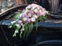 Hochzeitsauto Gangstercitroen Baujahr 1949 11 CV BN Hannover - Galerie - Bild 3