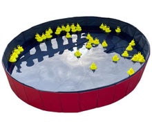 Entenangeln | Spielmodule mieten bei der Dreamcatcher Eventagentur