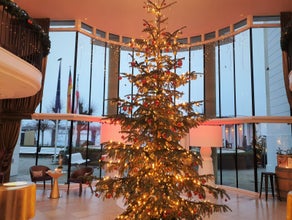 Weihnachtsbaum schmücken mit echten Bäumen