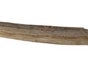 Holzboot mit Paddel, Boot, See, Schwimmen, Yacht - Galerie - Bild 2
