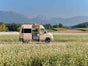 Volkswagen 4 x 4 Viki! - Galerie - Bild 2