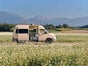 Volkswagen 4 x 4 Viki! - Galerie - Bild 2