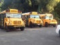 US-Schoolbus - Galerie - Bild 2