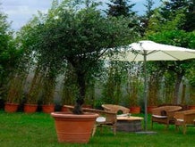 Bume mieten in Stuttgart | Erento.com