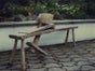 Flachsbank, Pflug, Egge, Bauernhof, Ackerbau, Nostalgisch - Galerie - Bild 3