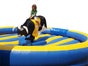 Bullriding / Rodeo - Galerie - Bild 3