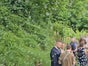 Seifenblasenmaschine - Galerie - Bild 4