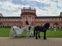 Die wohl schönste aller Hochzeitskutschen - gezogen von edlen, imposanten Friesenpferden - Galerie - Bild 2