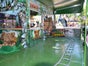 Kindereisenbahn Dschungel Express - Galerie - Bild 3
