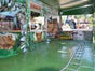 Kindereisenbahn Dschungel Express - Galerie - Bild 3