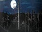 Halloween Kulisse, Friedhof, Grab, Wald, Mond - Galerie - Bild 2