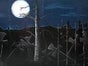 Halloween Kulisse, Friedhof, Grab, Wald, Mond - Galerie - Bild 2