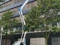 MIETE! 24m LKW Gelenkarbeitsbühne Arbeitsbühne Hubsteiger Teleskopbühne 3,5t - Galerie - Bild 3