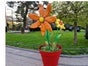 XXL Blumentopf 3er Arrangement ∗ No.10 - Galerie - Bild 4