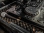 Black Mamba Partybus Tour Berlin und Umland - Galerie - Bild 4