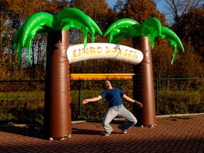 Limbo Game