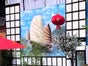 Japan Dschunken Kulisse, Schiff, Segelschiff - Galerie - Bild 2