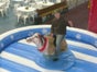 Rentier Rodeo - Galerie - Bild 2