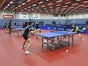 TISCHTENNISPLATTE MIETEN BERLIN UND UMLAND  - KOSTENLOSE LIEFERUNG ! - Galerie - Bild 4