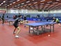 TISCHTENNISPLATTE MIETEN BERLIN UND UMLAND - KOSTENLOSE LIEFERUNG ! - Galerie - Bild 4