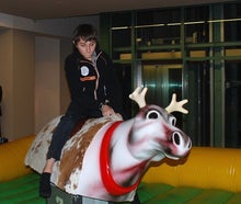 Rentierrodeo - das Bullriding zu Weihnachten inkl. 19% MwSt.