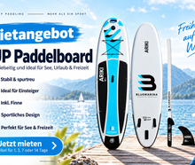 SUP Board 325 cm