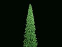 Weihnachtsbaum 2 m  Kegelbaum, Weihnachtsmarkt Dekoration, Weihnachten