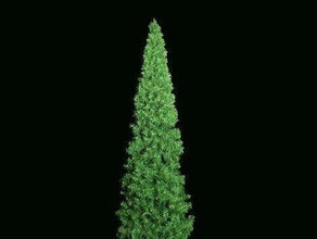 Weihnachtsbaum 2 m Kegelbaum, Weihnachtsmarkt Dekoration, Weihnachten