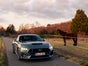 Ford Mustang GT Fastback 5.0L V8 / Mach1 Style Gold matt Metallic - Galerie - Bild 2