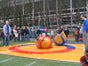 SUMO WRESTLING - Galerie - Bild 2