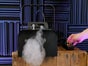 Nebelmaschine mieten (ab € 9) ✓ Inkl. Fluid ✓ 1600W ✓  DMX ✓ Timer-Fernbedienung - Galerie - Bild 4