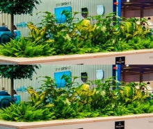 Urban Gardening