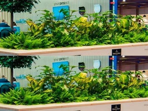 Urban Gardening