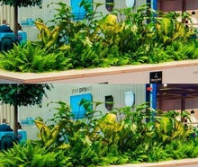 Urban Gardening