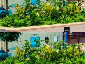 Urban Gardening