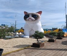 Aufblasbare Katze 6 Meter - Grumpy Cat