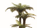 Kunstpflanze - Palme - 160 cm