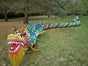 Chinesischer Drache - Tanzdrache aus Ballons - Ballondrachen - Galerie - Bild 4