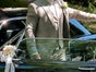 Oldtimer Ford Mustang BJ68 mieten f. Hochzeit, Fotoshooting usw. Hochzeitsauto - Galerie - Bild 2