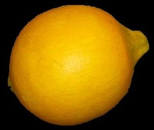 Zitrone - Frucht